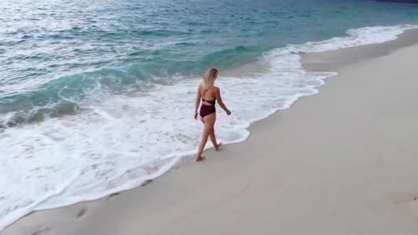Σέξι Γυναίκα Μια Παραλία Παράδεισος Απολαμβάνει Τις Καλοκαιρινές Διακοπές Της — Αρχείο Βίντεο