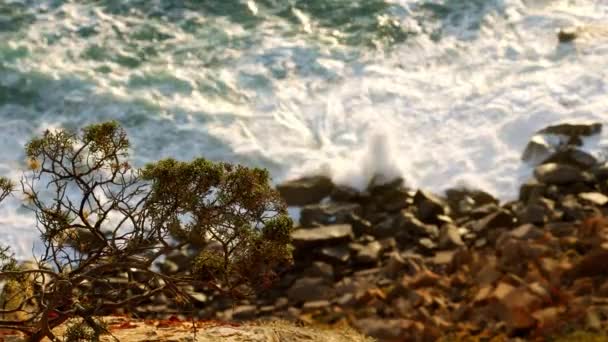 Дивовижне Узбережжя Кабо Рока Португалія — стокове відео