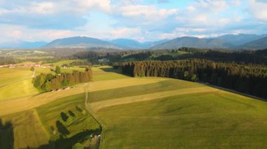 Alman Alpleri 'nin Allgau bölgesindeki Bavyera' daki tipik manzara