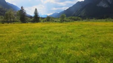 Alman Alpleri 'nin Allgau bölgesindeki Bavyera' daki tipik manzara