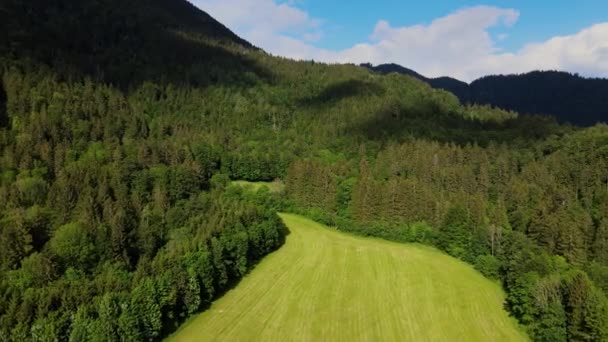 Paysage typique de Bavière dans le quartier Allgau des Alpes allemandes — Video