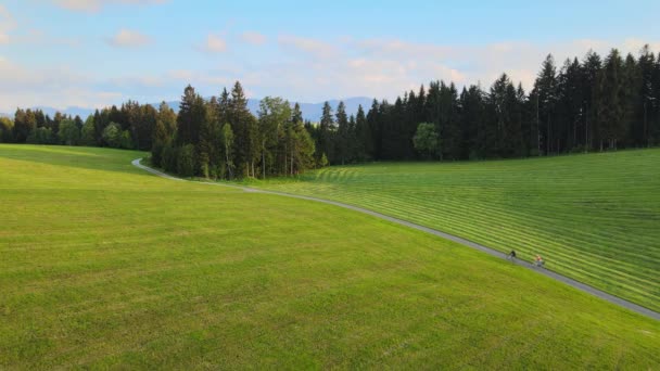 Paesaggio tipico della Baviera nel quartiere Allgau delle Alpi tedesche — Video Stock