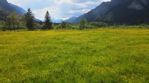 Paisaje típico de Baviera en el distrito de Allgau de los Alpes alemanes — Vídeos de Stock