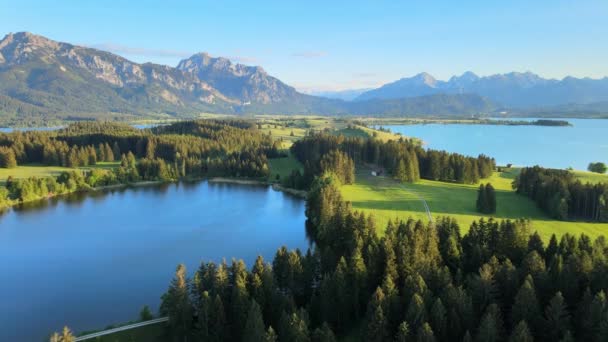 Letecký Pohled Jezero Forggensee Městě Fuessen Bavorsku Německo — Stock video