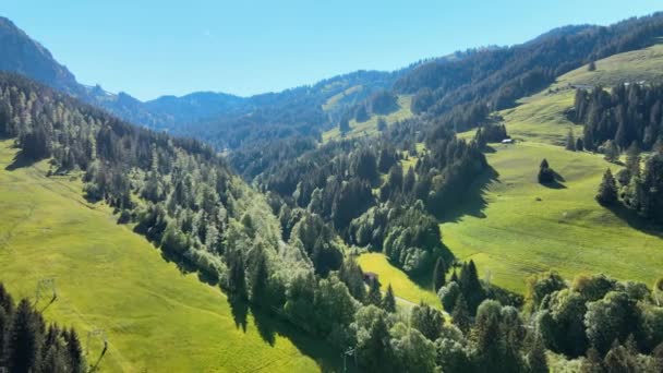 Типичный Баварский Пейзаж Немецких Альпах Оллгау Вид Воздуха — стоковое видео
