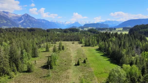 Typická Bavorská Krajina Německých Alpách Okres Allgau Letecký Pohled — Stock video