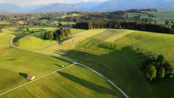 Increíble Naturaleza Baviera Distrito Allgau Los Alpes Alemanes Vista Aérea — Vídeo de stock