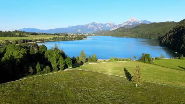 Letecký Pohled Jezero Forggensee Městě Fuessen Bavorsku Německo — Stock video