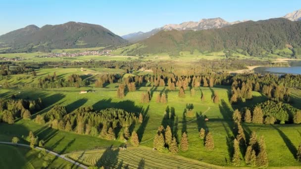 Typowy Bawarski Krajobraz Alpach Niemieckich Allgau Widok Lotu Ptaka — Wideo stockowe