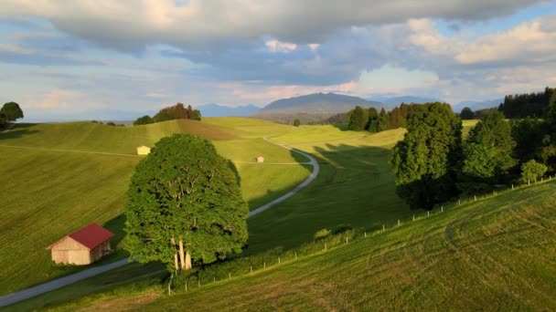 Paisaje Típico Baviera Distrito Allgau Los Alpes Alemanes Vista Aérea — Vídeos de Stock