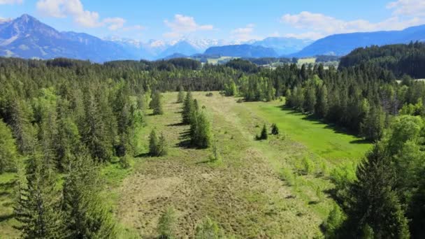 Incredibile Natura Della Baviera Nel Quartiere Allgau Delle Alpi Tedesche — Video Stock
