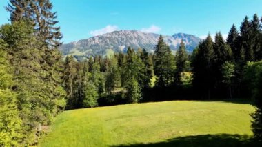 Alman Alplerindeki tipik Bavyera manzarası - Allgau bölgesi - hava manzarası