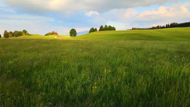 德国阿尔卑斯山阿尔高地区巴伐利亚的神奇本质 空中景观 — 图库视频影像