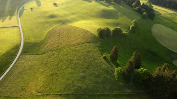 Paisaje Típico Bávaro Los Alpes Alemanes Allgau Vista Aérea — Vídeo de stock