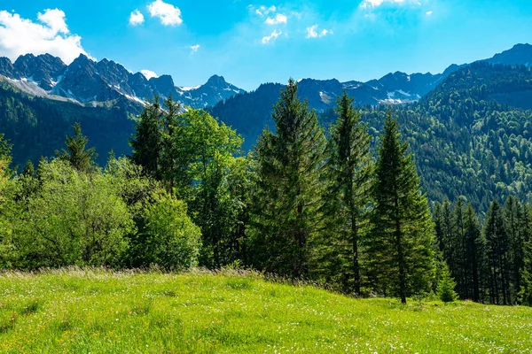 Typiskt Landskap Bayern Och Allgau Tyska Alperna Högkvalitativt Foto — Stockfoto