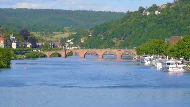 Rzeka Neckar Niemieckim Mieście Heidelberg Słoneczny Dzień Zdjęcia Podróży — Wideo stockowe