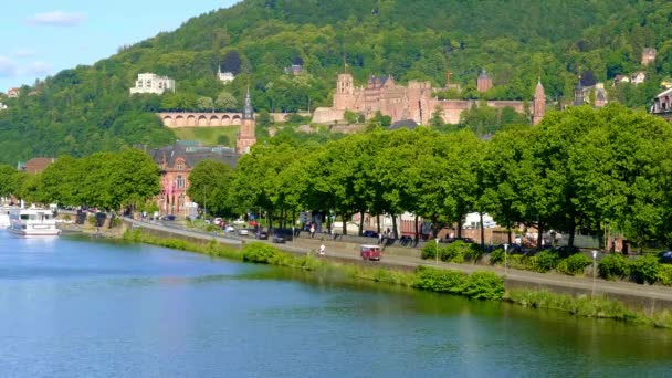 Floden Neckar Den Tyska Staden Heidelberg Solig Dag Resor — Stockvideo