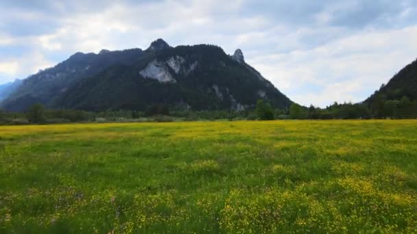 Paisaje Típico Bávaro Los Alpes Alemanes Allgau Vista Aérea — Vídeos de Stock