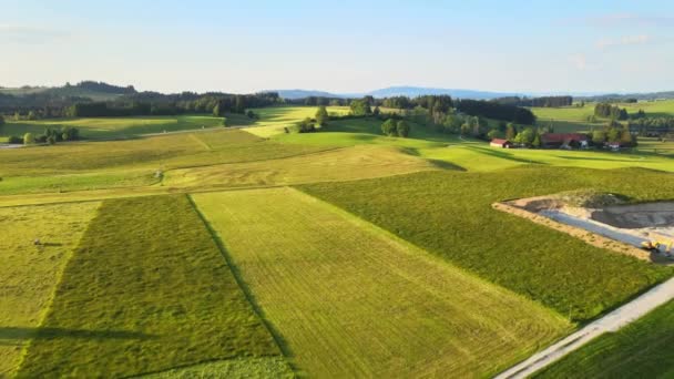 Typisch Bayerische Landschaft Den Allgäuer Alpen Landkreis Allgäu Luftbild — Stockvideo