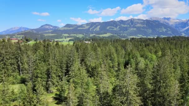 Volando Sobre Abetos Baviera Impresionante Paisaje Los Alpes Alemanes Imágenes — Vídeos de Stock