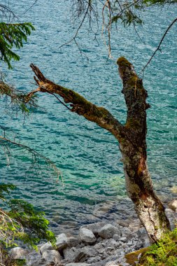 Bavyera 'daki güzel Eibsee dinlenmek için popüler bir yerdir. 