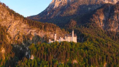 Bavyera Almanya 'daki ünlü Neuschwanstein Kalesi