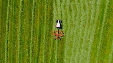 Güneşli bir günde bir çiftlikte tarım işi