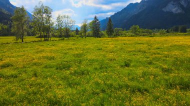 Alman Alpleri 'ndeki Bavyera Allgau' nun güzel kırsal arazisi üzerinde uçmak