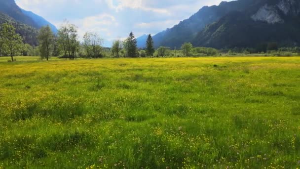 Increíble naturaleza en el Allgau bávaro - los Alpes alemanes — Vídeos de Stock