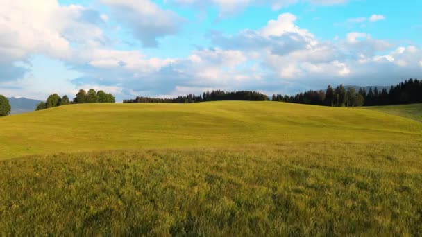 Voe Sobre Bela Paisagem Rural Baviera Allgau Nos Alpes Alemães — Vídeo de Stock