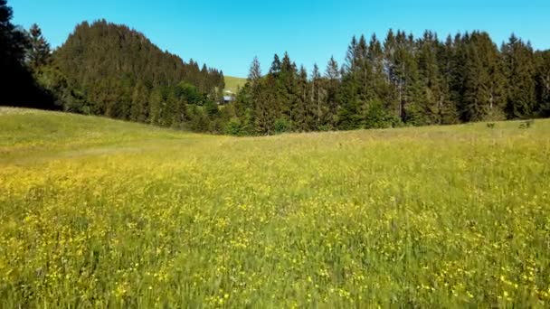 Flug Über Die Schöne Ländliche Landschaft Des Allgäuer Oberlandes Den — Stockvideo