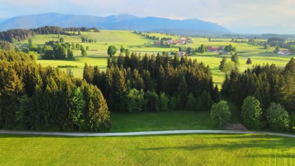 Flug Über Die Schöne Ländliche Landschaft Des Allgäuer Oberlandes Den — Stockvideo