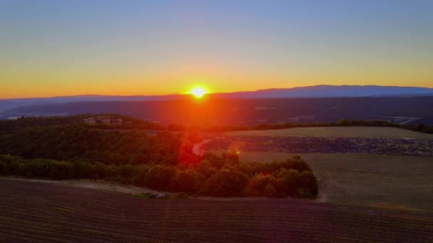 Levandulová pole Valensole Provence ve Francii — Stock video