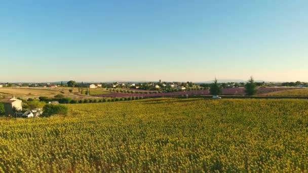 Le village de Valensole en Provence d'en haut — Video