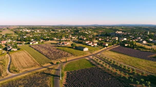 Le village de Valensole en Provence d'en haut — Video