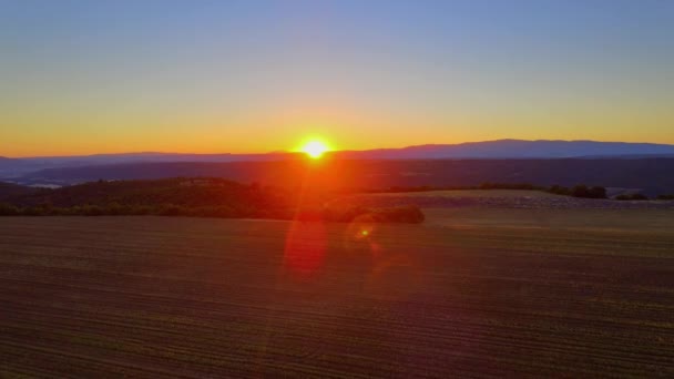 Pôr do sol incrível sobre os campos de lavanda de Valensole Provence na França — Vídeo de Stock
