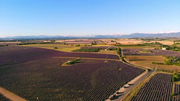 Wioska Valensole w Prowansji z góry — Wideo stockowe