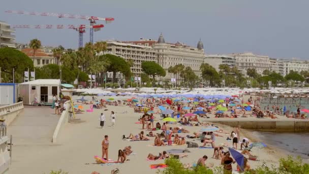 La célèbre plage de Cannes à la Croisette en été - VILLE DE CANNES, FRANCE - 12 JUILLET 2020 — Video