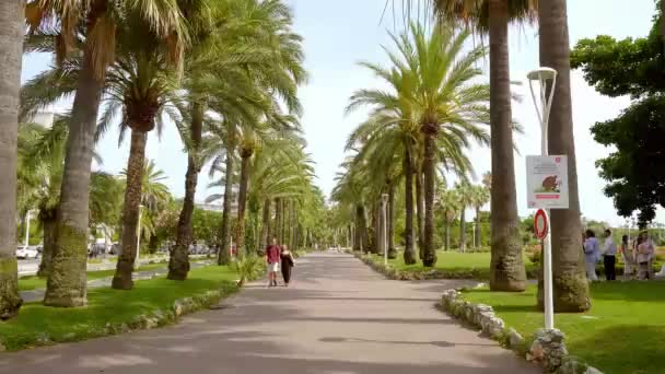Hermoso parque con palmeras en la ciudad de Cannes en la Croisette - CIUDAD DE CANNES, FRANCIA - 12 DE JULIO DE 2020 — Vídeos de Stock