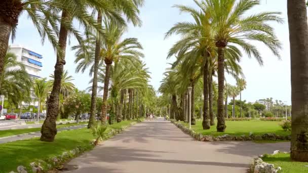 Hermoso parque con palmeras en la ciudad de Cannes en la Croisette - CIUDAD DE CANNES, FRANCIA - 12 DE JULIO DE 2020 — Vídeos de Stock