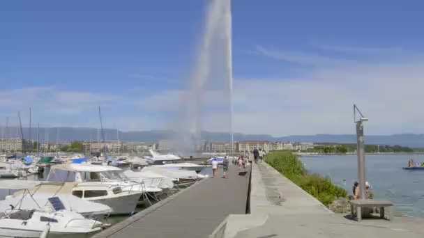 La célèbre fontaine sur le lac Léman - GENÈVE, SUISSE - 8 JUILLET 2020 — Video