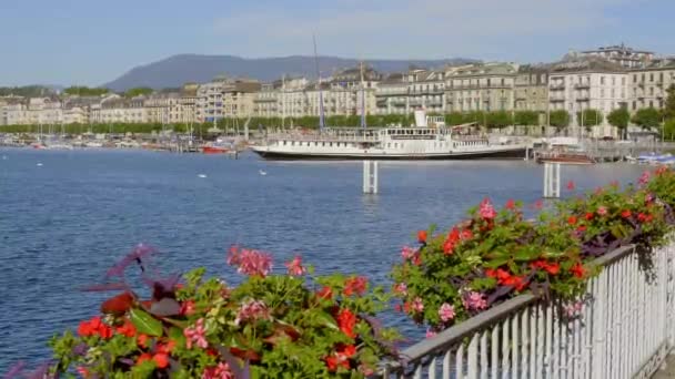 Geneve och Genèvesjön i Schweiz - GENEVA, SWITZERLAND - 8 juli 2020 — Stockvideo
