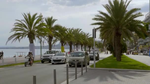 Palmeras en la Riviera de Niza - CIUDAD DE Niza, FRANCIA - 10 DE JULIO DE 2020 — Vídeos de Stock