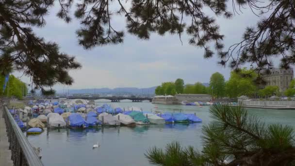 Barcos no rio Limmat em Zurique- ZURICH, SUÍÇA - JULHO 15, 2020 — Vídeo de Stock