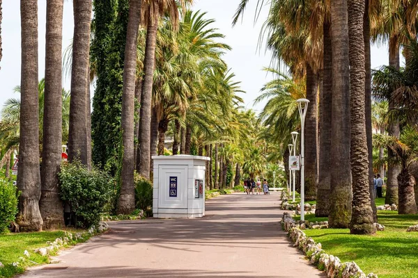 Vacker Park Med Palmer Staden Cannes Vid Croisette Cannes Frankrike — Stockfoto