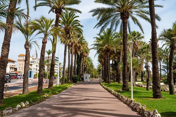 Gyönyörű Park Pálmafákkal Cannes Városában Croisette Nél Kannes Franciaország Július — Stock Fotó