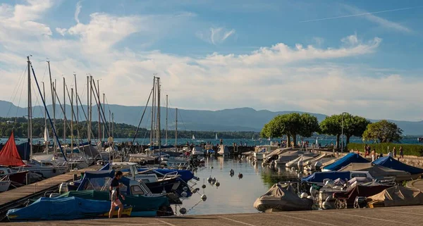 Pequeño Puerto Puerto Deportivo Lago Ginebra Ciudad Ginebra Suiza Julio —  Fotos de Stock