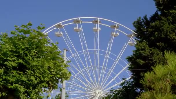 Riesenrad im Englischen Garten in Genf - GENF, SCHWEIZ - 8. JULI 2020 — Stockvideo