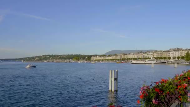 Belo Lago de Genebra na cidade de Genebra, na Suíça - GENEVA, SUÍÇA - 8 de julho de 2020 — Vídeo de Stock