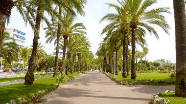 Croisette 'deki Cannes şehrinde palmiye ağaçları olan güzel bir park. 